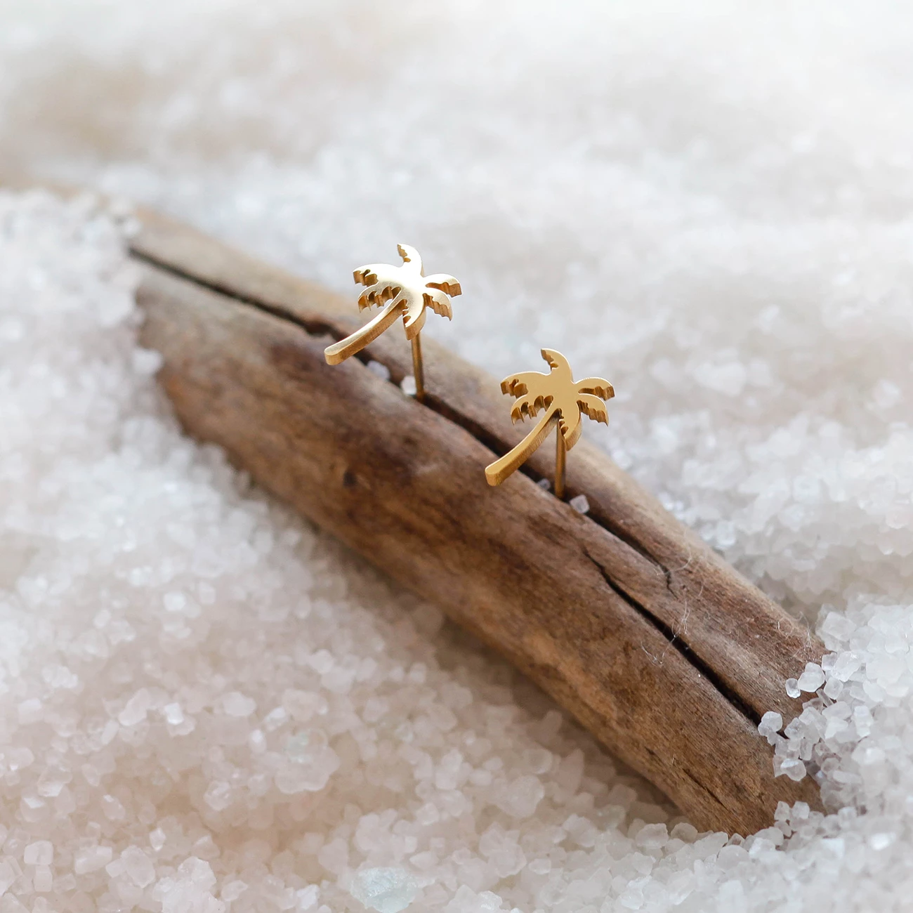 Dreamy Palm Earrings