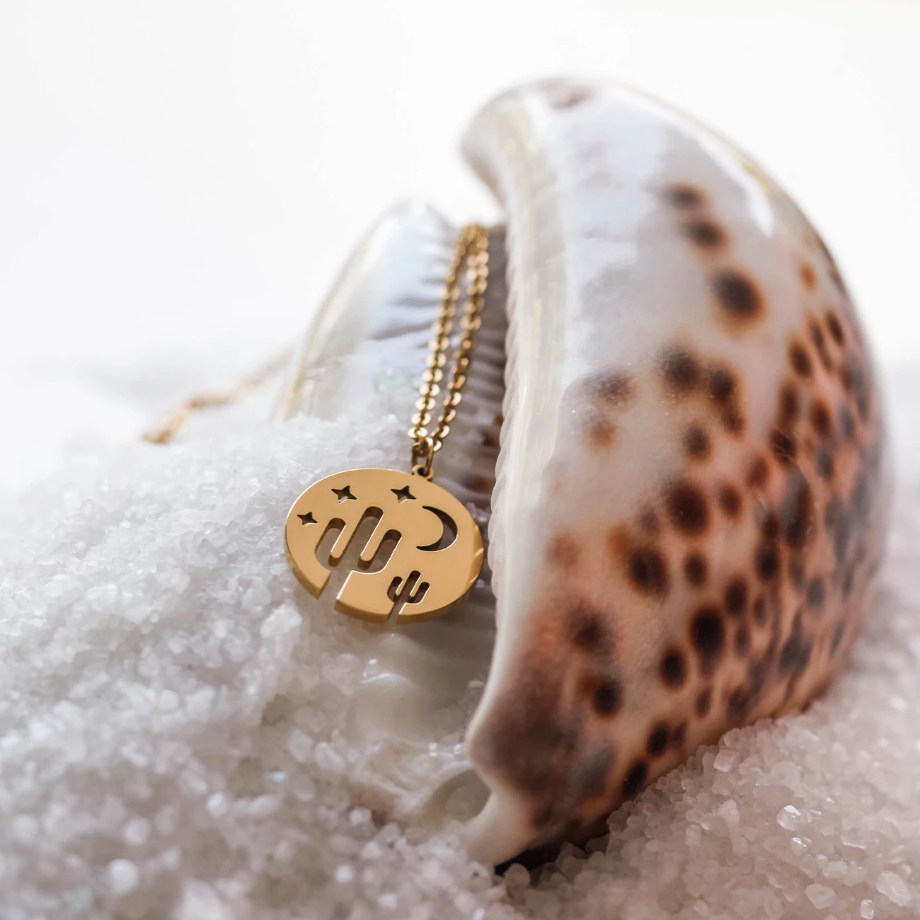 Livin' in the Desert Necklace